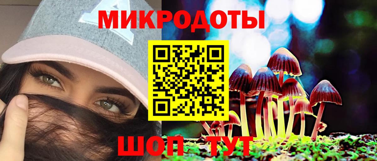 Псилоцибиновые грибы Psilocybe Дербент