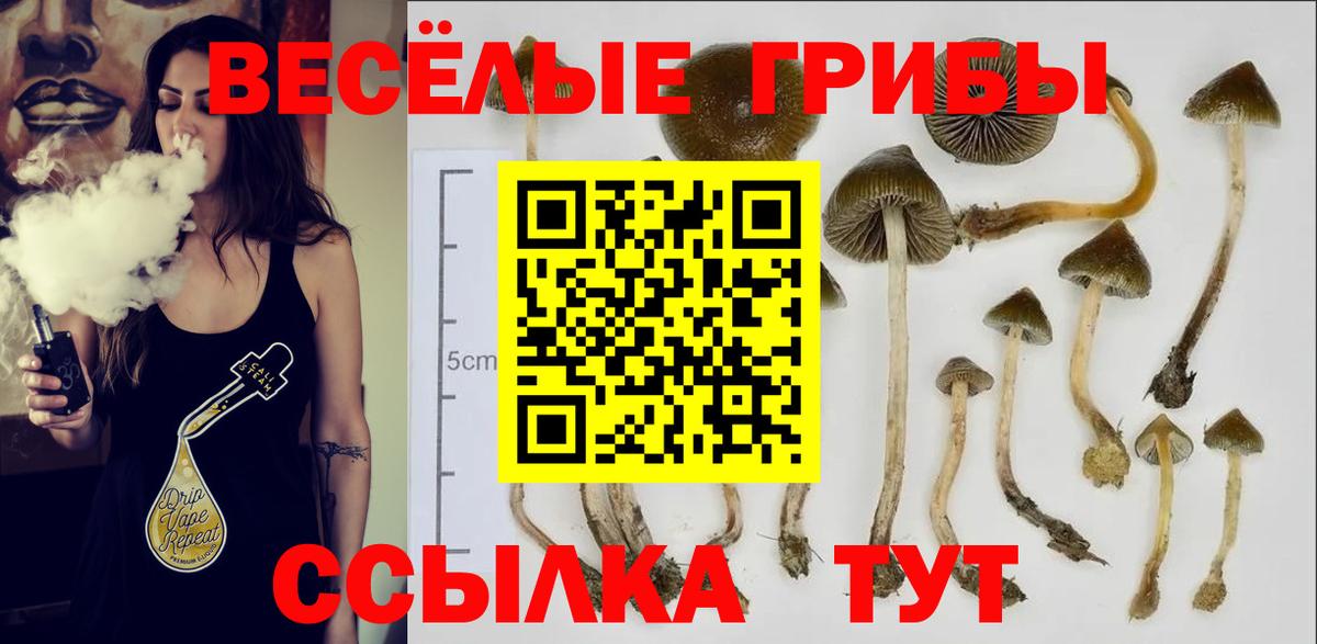Галлюциногенные грибы ЛСД  где купить   Дербент  Псилоцибиновые грибы Psilocybe  Вход с VPN 